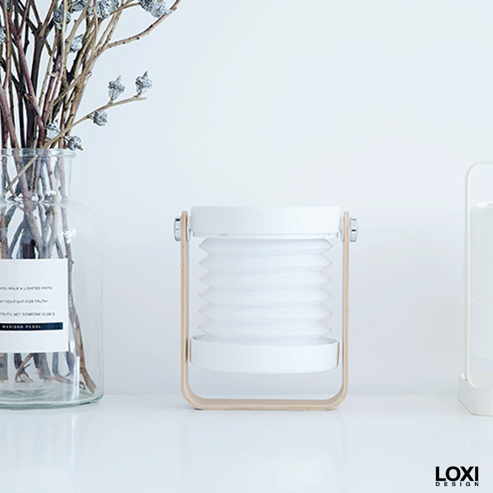 Loxi Design™ 2-in-1 Handhold Lamp