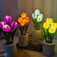 LoxiDesign™ Enchanted Tulips